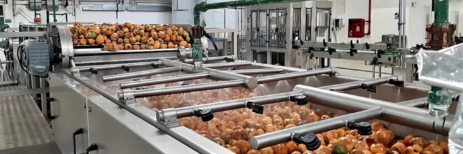 pulpa de fruta congelada